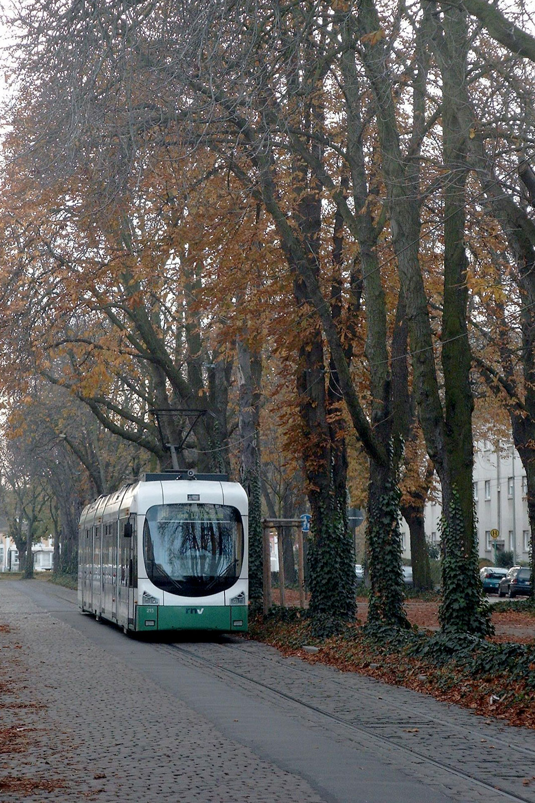 Beginn der Bauarbeiten zur neuen Linie 10 der rnv · der Blog der rnv