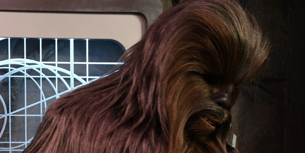 Chewbacca aus Star Wars