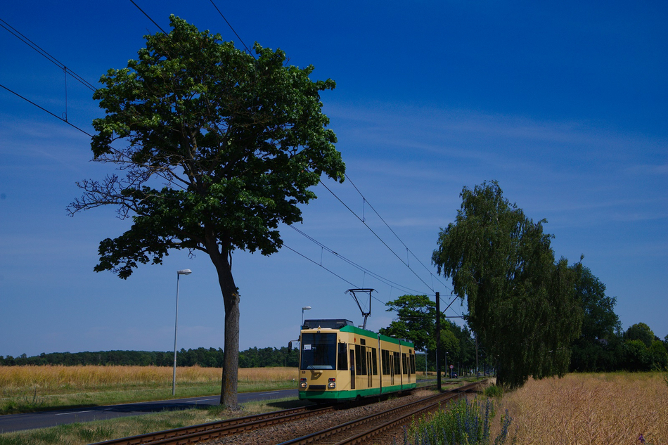 Ein MGT6D unterwegs zwischen Feldern in seiner neuen Heimat. (Foto: Marlon Meyer)