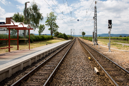 Gleise mit Oberleitungen in Ellerstadt