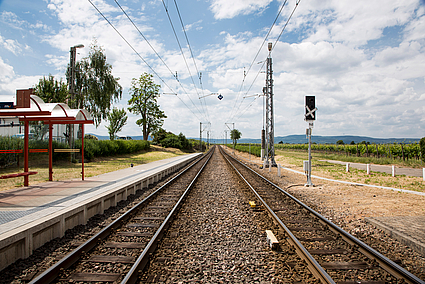 Gleise mit Oberleitungen in Ellerstadt