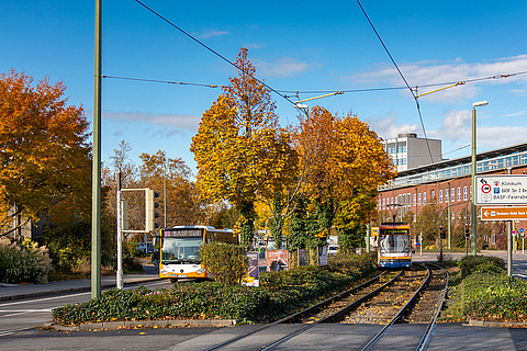 Herbststimmung mit Bus und Bahn