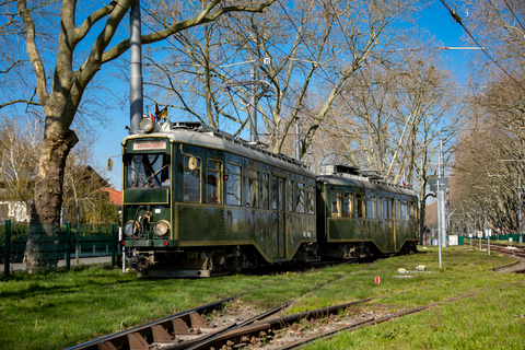 rnv-Eventfahrzeug Salonwagen im Grünen