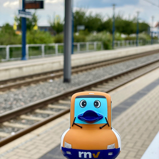 Marie-Luise in Großsachsen Süd