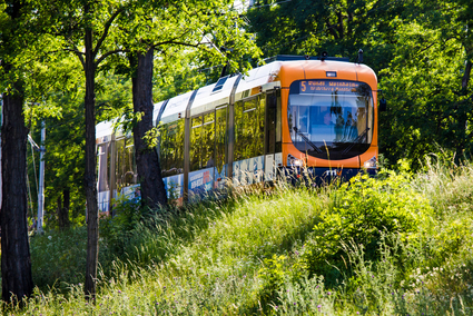 Mit der rnv durch's Grüne...