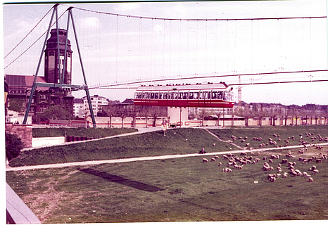Der Aerobus fährt zur BUGA 1975 an der Alten Feuerwache über den Neckar und die Neckarwiesen, wo eine Schafherde grast.