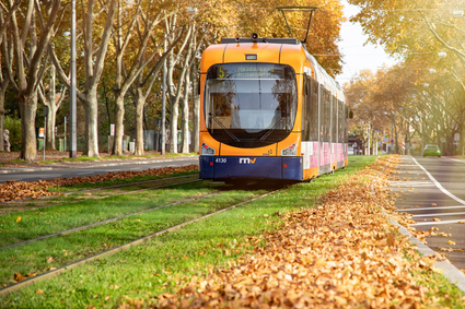 Rasengleis der rnv in Mannheim
