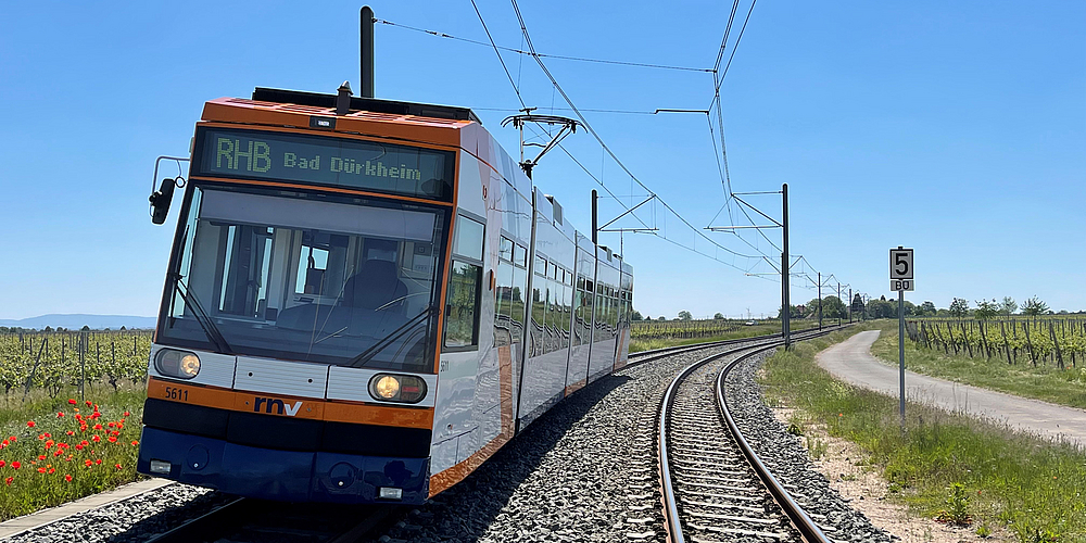 Bahn der rnv auf der Strecke der Rhein-Haardtbahn in der Pfalz