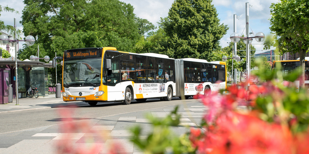 rnv-Bus und Sommerblumen am Bismarckplatz in Heidelberg