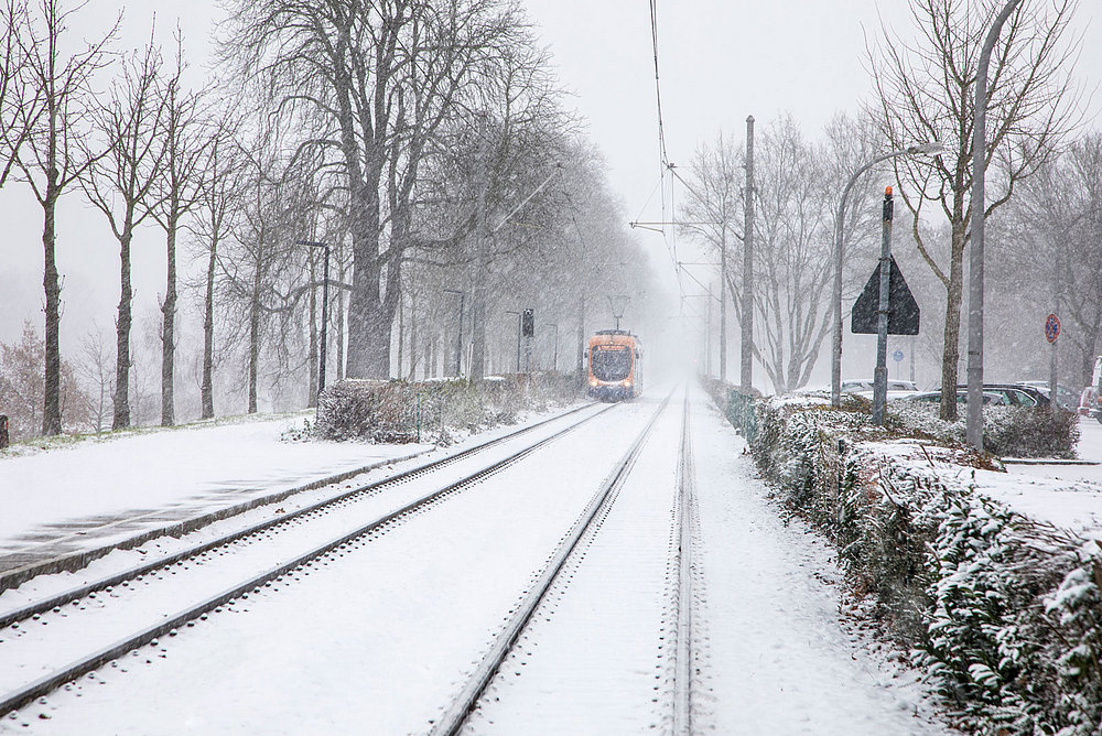 Winterliche Landschaft mit rnv Straßenbahn
