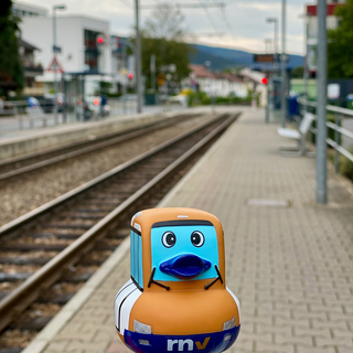 Marie-Luise in Dossenheim Süd