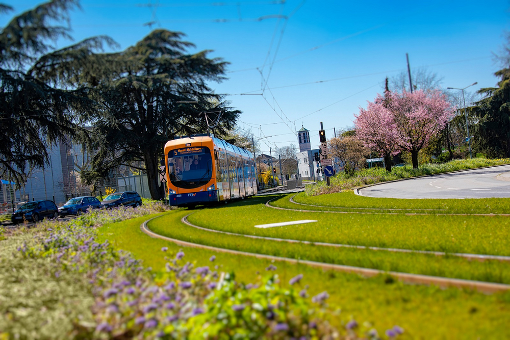 Rasengleis trägt zur Verringerung von Schallemissionen bei.