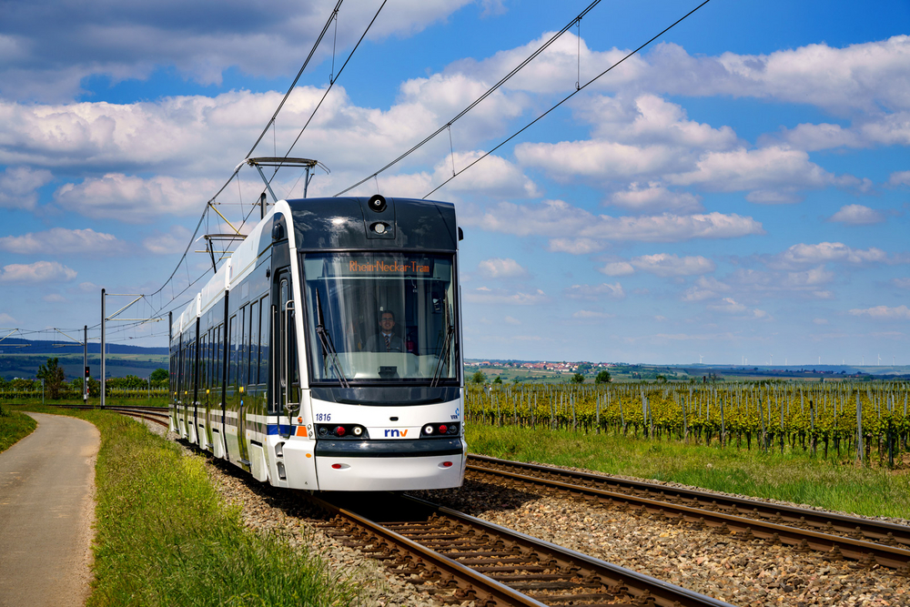 Die Rhein-Neckar-Tram (RNT) unterwegs inmitten von Weinstöcken Die Rhein-Neckar-Tram (RNT) unterwegs inmitten von Weinstöcken
