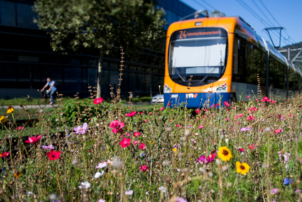 Klimafreundlicher Nahverkehr