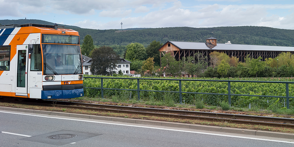 rnv-Bahn vor Saline in Bad Dürkheim