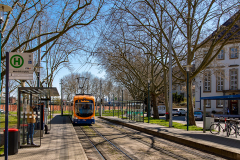 Frühling im rnv Verkehrsgebiet Frühling im rnv Verkehrsgebiet